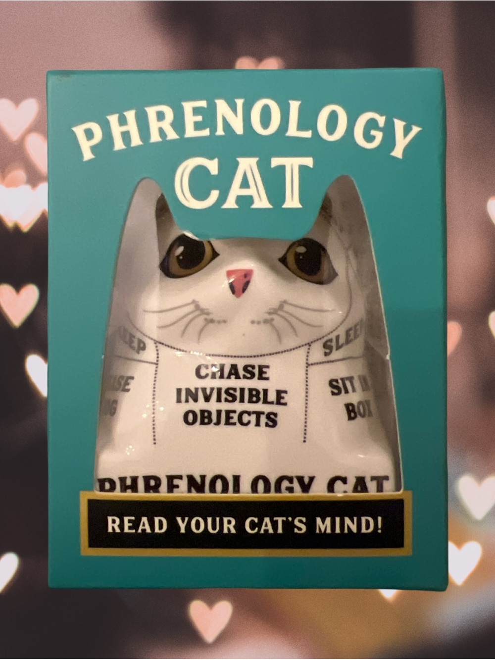 NIB  Phrenology Cat: Read Your Cat's Mind! mini ceramic bust w/ book
